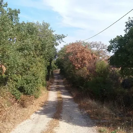 בית חווה Sa E Padedda *