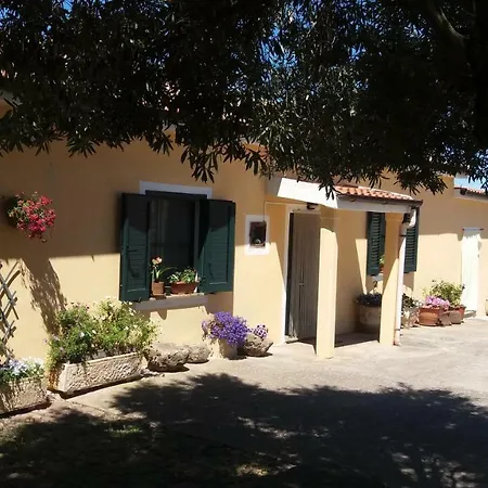 Farm stay Sa E Padedda *